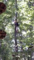 /album/kalandpark-2012-/a321482-409046059189324-527105016-n-jpg/